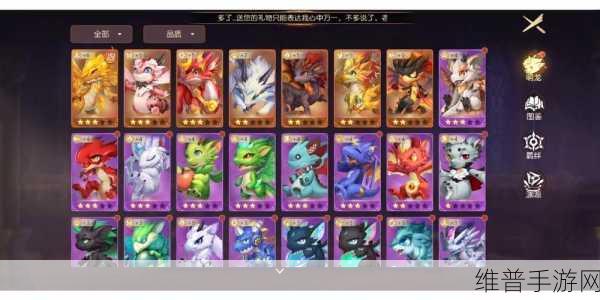 有杀气童话2新手攻略，乐师职业是否适合入门