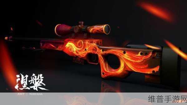 日本csgo大姐姐awp多少钱加入仙踪林内容：1. 日本CSGO大姐姐AWP价格揭秘与游戏装备分析