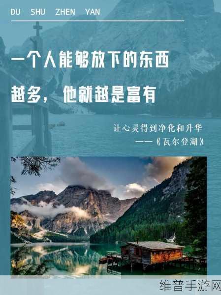 放里面不动是种什么样的感受：1. 静止中的思考：内心深处的宁静体验
