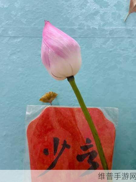女人50岁半夜莲花还开吗：1. 50岁女性的生命之花：半夜绽放的莲花