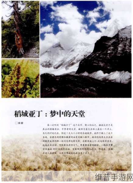 らだ天堂√在线中文WWW中文版：1. 《在天堂的边缘：追寻梦境与现实交错的旅程
