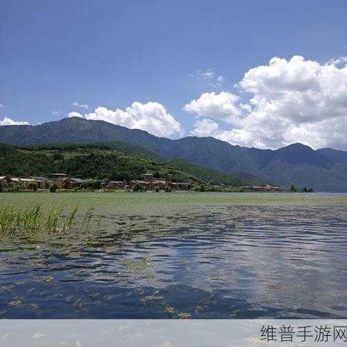 潋滟txt奶糖不甜：1. 潋滟心湖：甜蜜与忧伤交织的故事