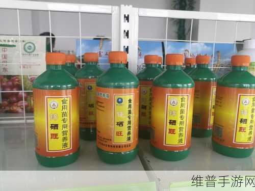 日韩国品一二三产品区别：1. ＂日韩国品一二三：深入探索每款产品的独特魅力