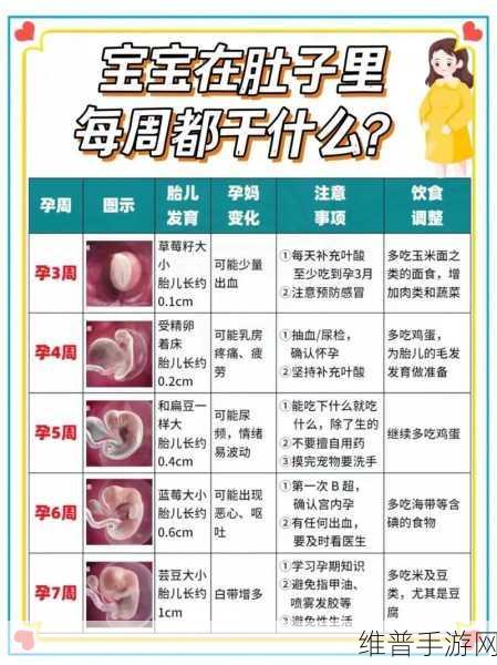 儿子能让妈妈怀孕生孩子：1. 妈妈的怀孕之旅：儿子的奇妙影响