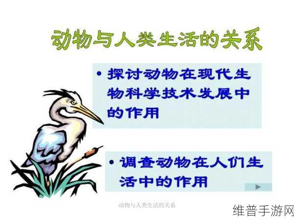 人与动物ppt免费模板大全将开拓国内市场：1. 打造人与动物和谐共生的未来