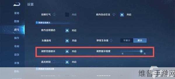 王者荣耀30ms延迟终极解决方案，手游公司视角的深度攻略