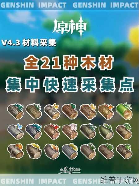 原神，获取松木与红染料的全攻略指南