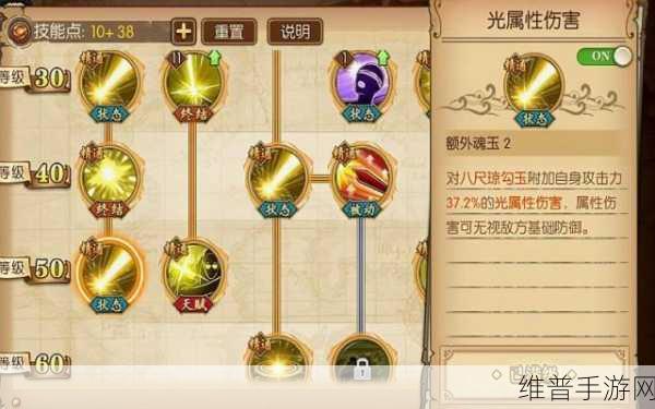 航海王燃烧意志，雷利技能深度剖析与实战攻略