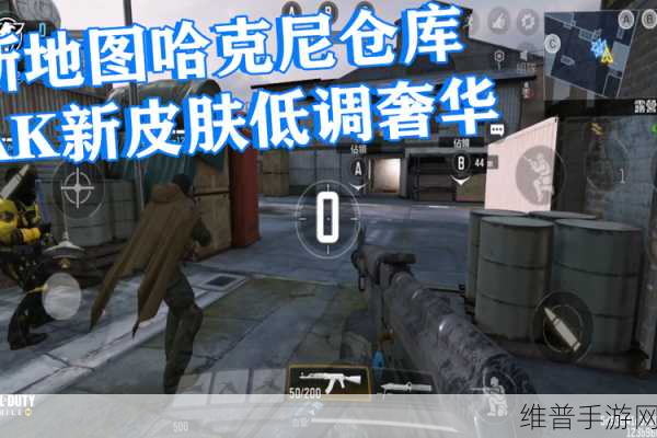 使命召唤手游黑金商店全攻略，揭秘璀璨星河需要多少花费