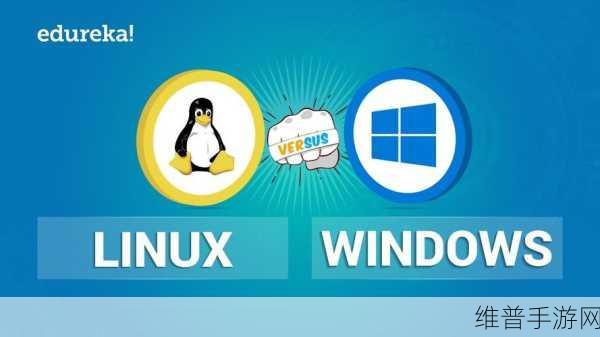 VPSWINDOWS另类乱：1. VPSWINDOWS：开启你的虚拟私有服务器新体验