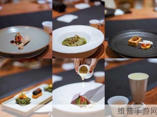 优质攻略系统by菜小菜：1. 提升旅游体验的优质攻略全解析