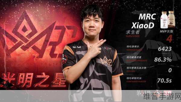第五人格夏季赛赛程全解析，精彩对决一触即发
