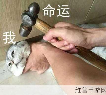 把你摁在地上摩擦怎么回复更具风度：1. 风度翩翩，轻松应对调侃的艺术