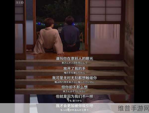 恋恋洗衣店第二季第9集:恋恋洗衣店第二季第9集:情感的纠葛与秘密的揭示