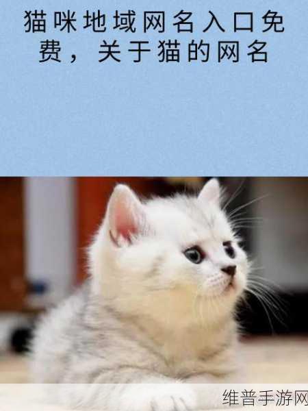 猫咪MV最新永久地域网名叫什么:当然可以!以下是一些基于“猫咪MV最新永久地域”的新标题建议:
