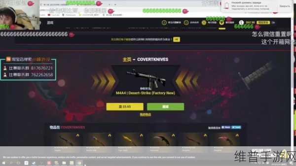 FARMSKINS进不去：1. 解决FARMSKINS无法登录的常见问题解析