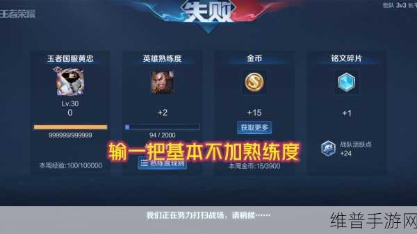 王者荣耀英雄熟练度速刷攻略，全面解析与实战技巧