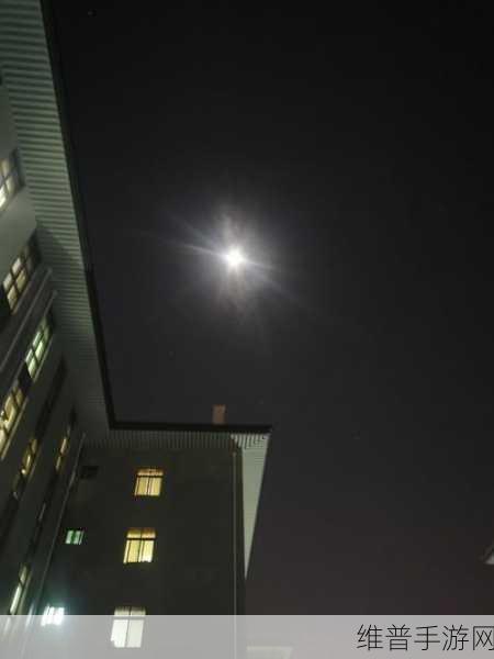 今天晚上让你哭着喊停小车：1. 今夜的泪水与小车相伴，心声无处诉