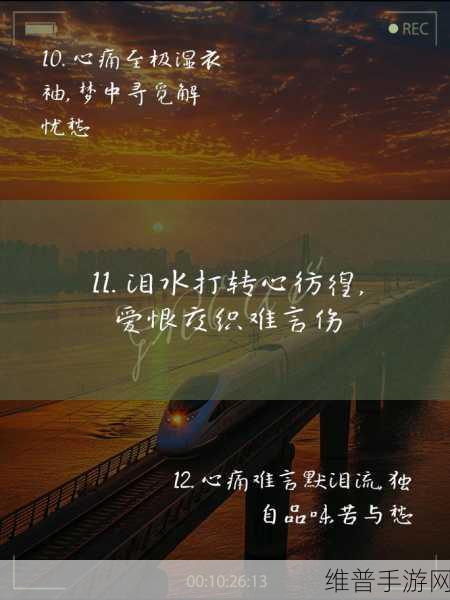 今天晚上让你哭着喊停小车：1. 今夜的泪水与小车相伴，心声无处诉