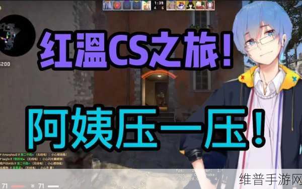 挑战技巧-暴躁老阿姨最强武器推荐：1. 如何选择适合暴躁老阿姨的最强武器？