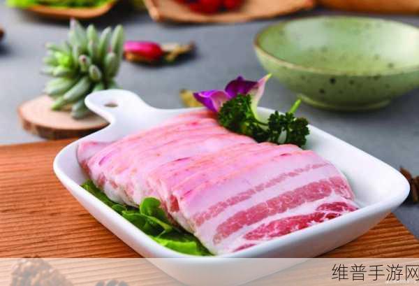 合法强肉：1. 《合法强肉：探索美食与健康的完美结合