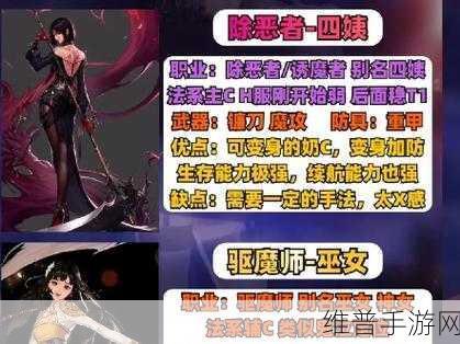DNF手游攻略,女圣职者四大职业深度解析,哪个才是你的战斗伙伴?