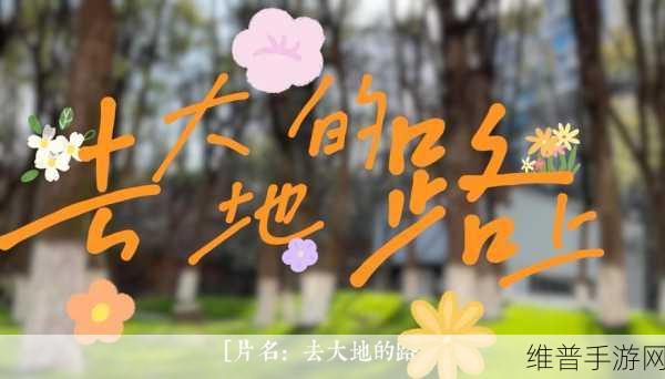 大地资源网中文在线观看：1. 大地资源网：畅享精彩中文视频的最佳平台