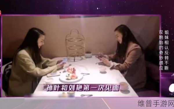 我娶了双胞胎故意认错：1. 婚姻中的三人行：双胞胎的误认趣事