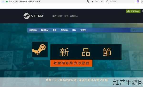 Steam创意工坊图片无法显示？手游公司为你揭秘解决方案