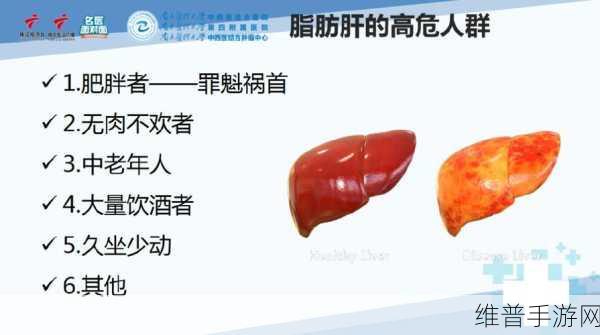 办公室强肝的播出时间揭晓：1. 《办公室强肝：从播出时间看职场竞争的新趋势