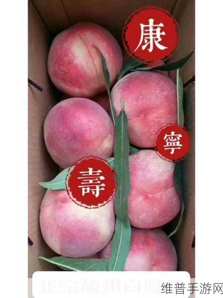 幸福的收获sn3858粉色水蜜桃：1. 粉色水蜜桃：幸福的滋味与甜美体验
