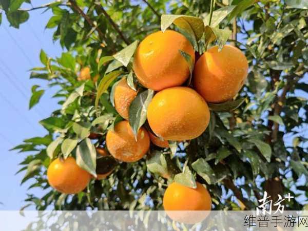 99国精产品灬源推广本土优秀产品：1. 99国精产品：助力本土优品走向全球