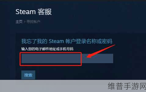 找回遗忘的 Steam 账号与密码，手游玩家必备攻略