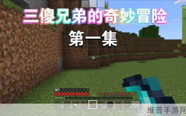 兄弟1V2前后：1. 《兄弟情深：一对二的故事