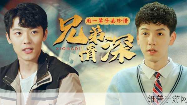 兄弟1V2前后：1. 《兄弟情深：一对二的故事