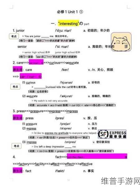 为什么大家都在疯抢欧亚尺码专线欧洲B1B1：欧亚尺码专线热潮：揭秘B1B1的新机遇与优势！