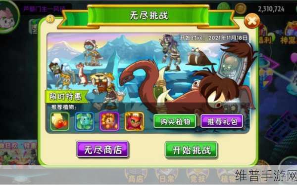 手游秘籍，畅玩之旅的必备策略与技巧