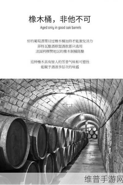 99品一二三产区区别：1. 深入探讨99品一二三产区的特点与差异