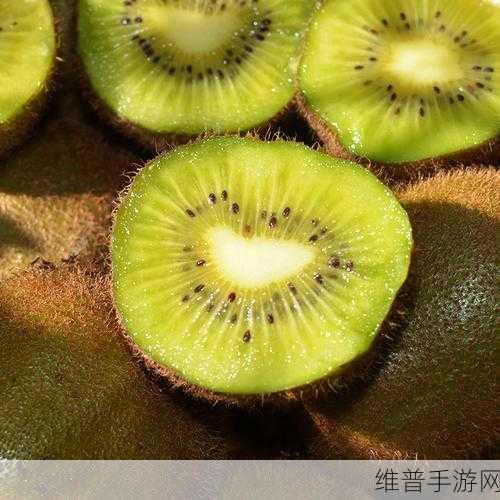 99品一二三产区区别：1. 深入探讨99品一二三产区的特点与差异
