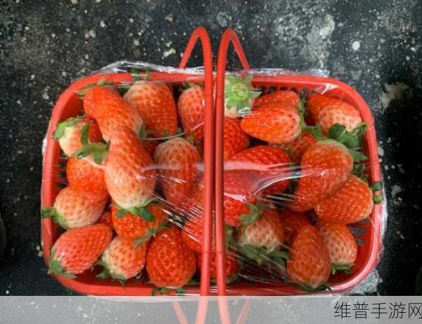 小猪草莓榴莲秋葵鸭脖ios下载：1. 《小猪的美食冒险：草莓榴莲秋葵鸭脖全攻略