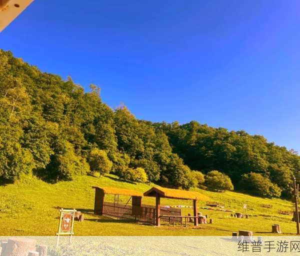 梦幻新诛仙深度探索，死亡沼泽标志风景全揭秘