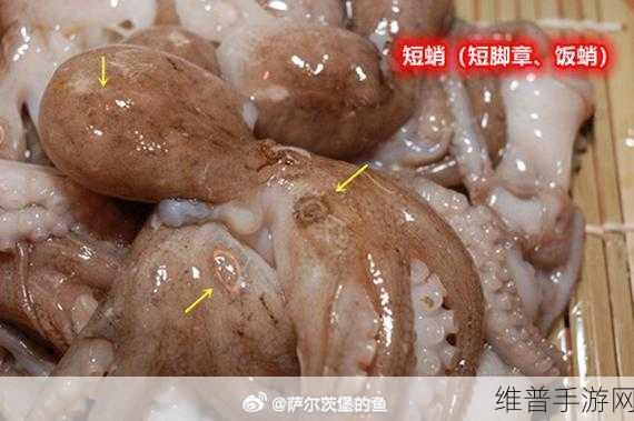 八爪鱼紧缩术能达到什么效果：1. 八爪鱼紧缩术：重塑体形的新选择