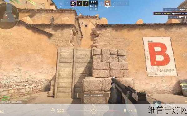 组队指南-55岁大妈玩CSGO：1. ＂55岁大妈如何在CSGO中展现超凡实力