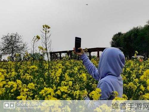 成品网站W灬源码16伊园纯净版：1. W灬源码16伊园纯净版：探索无缝体验的全新旅程