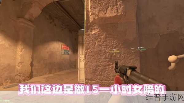 17岁俄罗斯CSGO加入了全新视频：17岁俄罗斯玩家在CSGO中开启全新视频与扩展体验！
