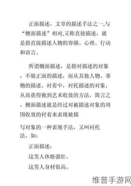 手游攻略深度解析，正面与侧面描写技巧在PPT中的融合应用