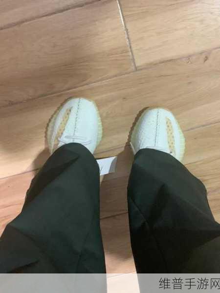 亚洲yeezy官网网站:1. 探索亚洲Yeezy官方:时尚与舒适的完美结合