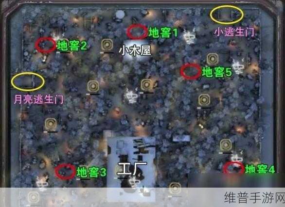 第五人格，地窖位置与数量全解析