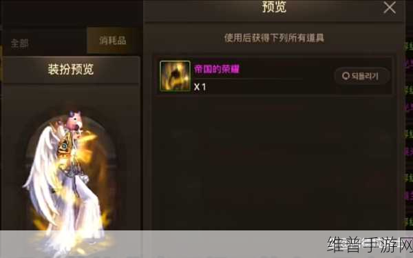 DNF手游深度解析，探寻最受欢迎的光环套之谜