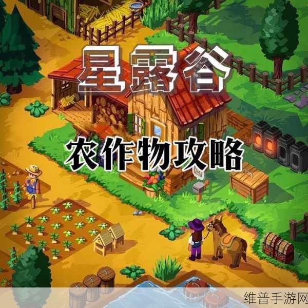 星露谷物语夜市，敲开美人鱼贝壳的终极指南